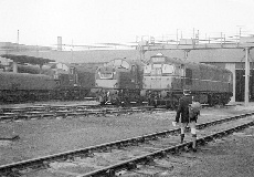 BRCW Type 2 D5379 at Thornaby Shed 1965