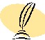 Have your say about our new web site